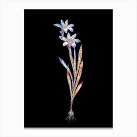 Stained Glass Ixia Liliago Mosaic Botanical Illustration on Black Canvas Print