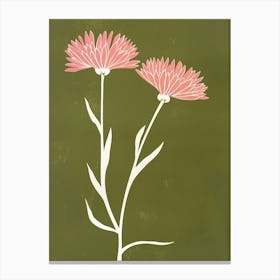 Pink & Green Asters 3 Canvas Print
