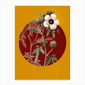 Vintage Botanical Venice Mallow Hibiscus Trionum on Circle Red on Yellow n.0281 Canvas Print