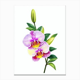 Orchids Watercolour Flower Canvas Print