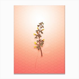 Common Cytisus Vintage Botanical in Peach Fuzz Seigaiha Wave Pattern n.0150 Canvas Print