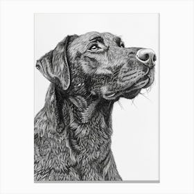 Beauceron Dog Line Sketch  2 Canvas Print