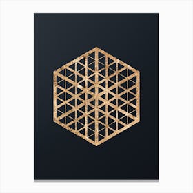 Abstract Geometric Gold Glyph on Dark Teal n.0464 Canvas Print