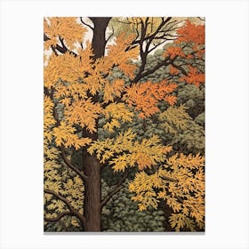 Black Ash 2 Vintage Autumn Tree Print  Canvas Print
