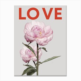 Love pink rose Canvas Print