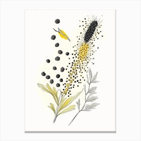 Black Mustard Seed Spices And Herbs Pencil Illustration 1 Canvas Print