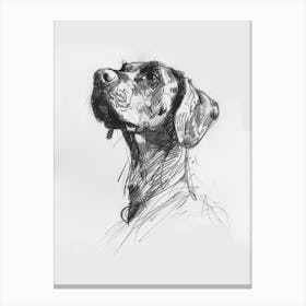 Hound Dog Charcoal Line 2 Canvas Print