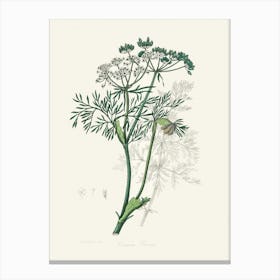 Vintage Botanical John Stephenson and James Morss Churchill Art Print_2731654 Canvas Print