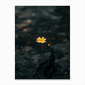 Lotus Flower In Water Canvas Print