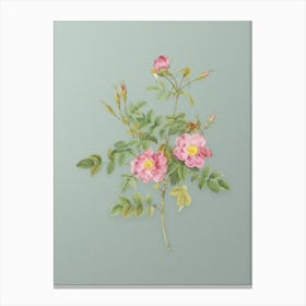 Vintage Pink Rosebush Bloom Botanical Art on Mint Green n.0265 Canvas Print