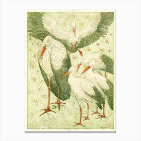 Five Storks In A Meadow, Theo Van Hoytema Canvas Print