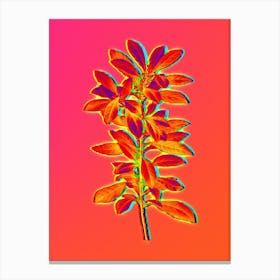 Neon Firetree Branch Plant Botanical in Hot Pink and Electric Blue n.0448 Canvas Print