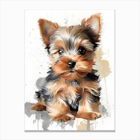 Yorkshire Terrier Canvas Print