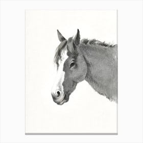 Head Of A Horse, Jean Bernard Canvas Print