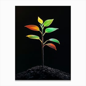 Plant Growing On Black Background Canvas Print