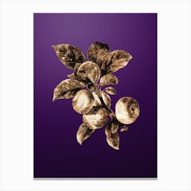 Gold Botanical Apple on Royal Purple n.0749 Canvas Print