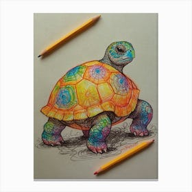 Colorful Tortoise Canvas Print