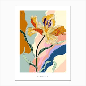 Colourful Flower Illustration Poster Portulaca 2 Canvas Print