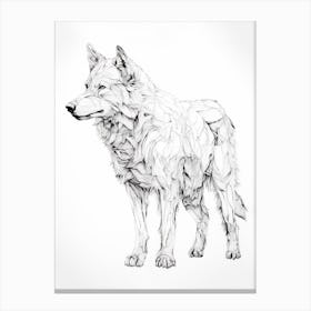 Arctic Wolf Line Drawing 3 Canvas Print