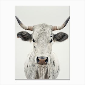 Longhorn Canvas Print