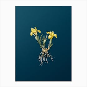 Vintage Sand Iris Botanical Art on Teal Blue Canvas Print