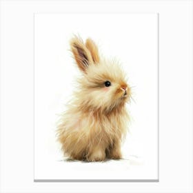 Jersey Wooly Rabbit Kids Illustration 2 Canvas Print