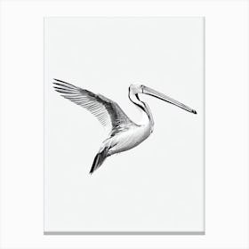 Pelican B&W Pencil Drawing 4 Bird Canvas Print