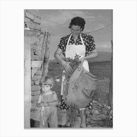 Spanish American Woman And Her Son With Greens Which They Feed To Their Rabbits Near Taos, New Mexico By Canvas Print