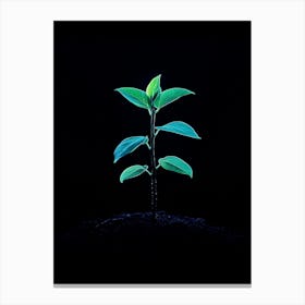 Small Green Plant On Black Background 17 Canvas Print