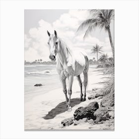 A Horse Oil Painting In Seven Mile Beach, Grand Cayman, Portrait 1 Canvas Print