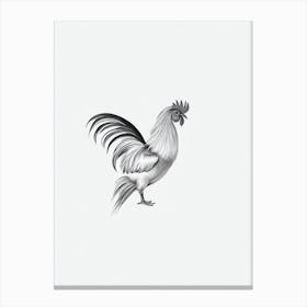 Rooster B&W Pencil Drawing 2 Bird Canvas Print