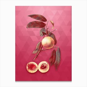 Vintage Peach Botanical in Gold on Viva Magenta 1 Canvas Print