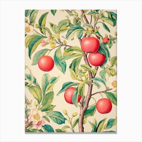 Apple Tree Canvas Print