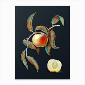 Vintage Peach Botanical Watercolor Illustration on Dark Teal Blue n.0964 Canvas Print