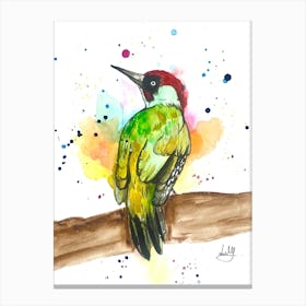 Woodpecker bird Canvas Print