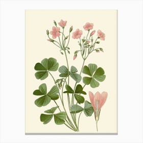 Geranium 6 Canvas Print