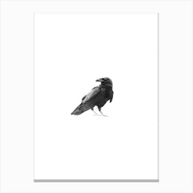 Raven Portrait Black and White Minimalist Boho Art Print Canvas Print