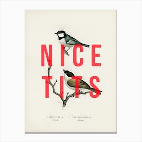 Nice Birds Canvas Print