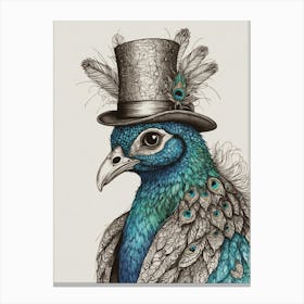 Peacock Canvas Print Canvas Print