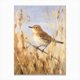 Bird Painting Hermit Thrush 2 Canvas Print