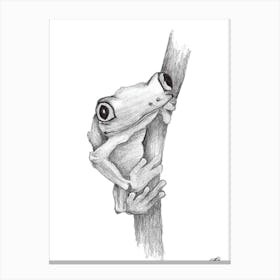 Black and White Pencil Tree Frog Canvas Print