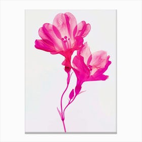 Hot Pink Freesia 2 Canvas Print