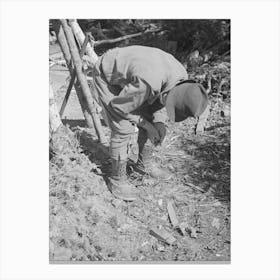 Untitled Photo, Possibly Related To William Besson With A Dip Needle, Near Winton, Minnesota By Russell Lee Canvas Print