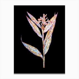 Stained Glass Globba Erecta Mosaic Botanical Illustration on Black n.0193 Canvas Print