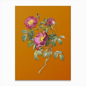 Vintage Rose of Love Bloom Botanical on Sunset Orange n.0526 Canvas Print