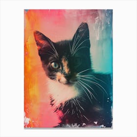 Cat Portrait Polaroid Inspired 2 Canvas Print