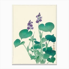 Blooming Hosta, Ohara Koson Canvas Print