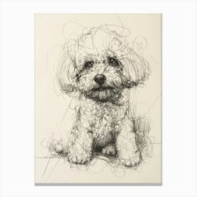 Bichon Frise Dog Line Drawing Sketch 3 Canvas Print