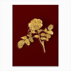 Vintage Japanese Rose Botanical in Gold on Red n.0181 Canvas Print