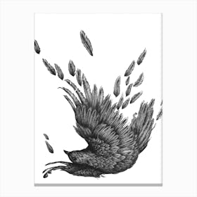 Raven Unravelled Canvas Print